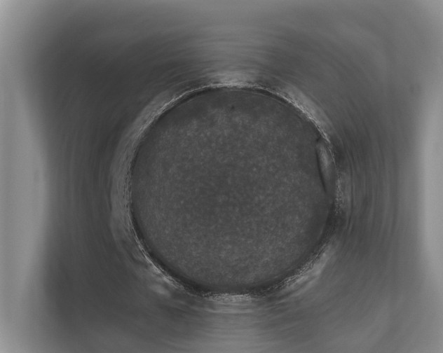 X0000110720577200906121430