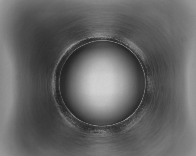 X0000110720580200906121430