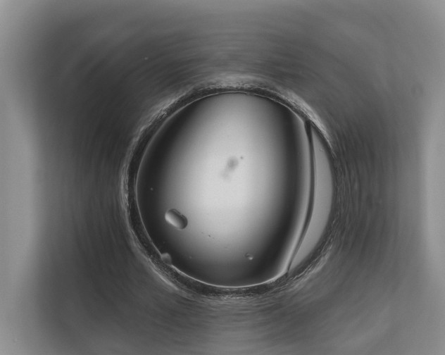 X0000110720581200906121430