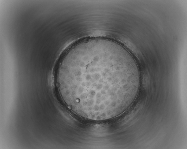 X0000110720584200906121430