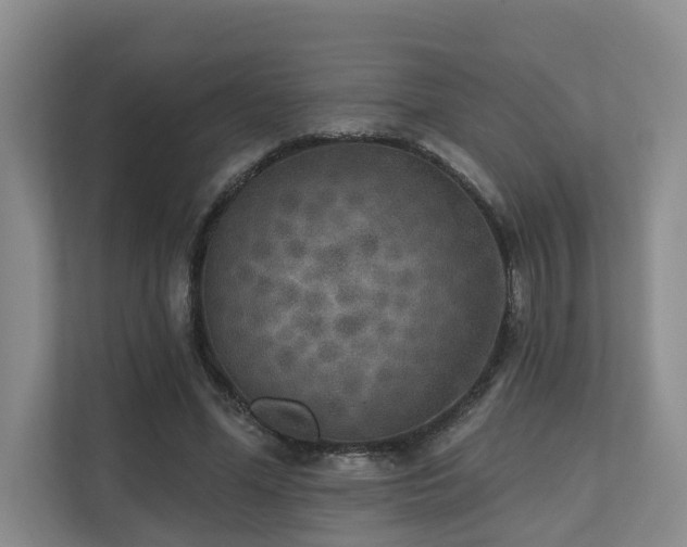 X0000110720588200906121430