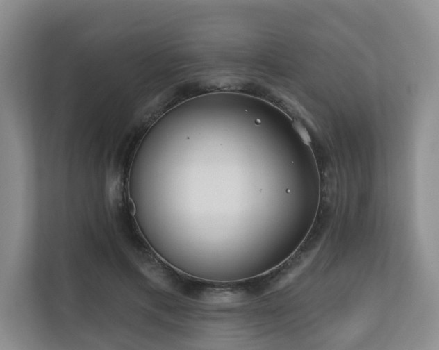 X0000110720597200906121430