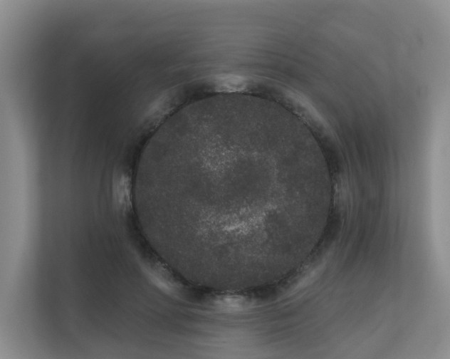 X0000110720598200906121430