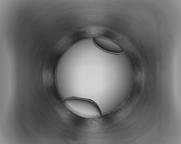 X0000110720599200906121430