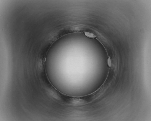 X0000110720605200906121429