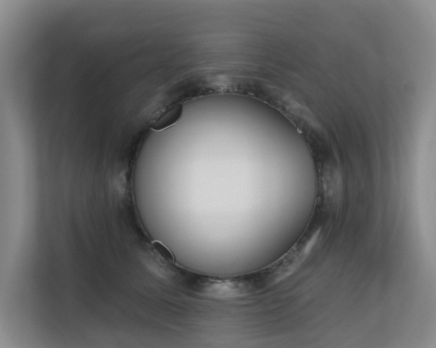 X0000110720611200906121429