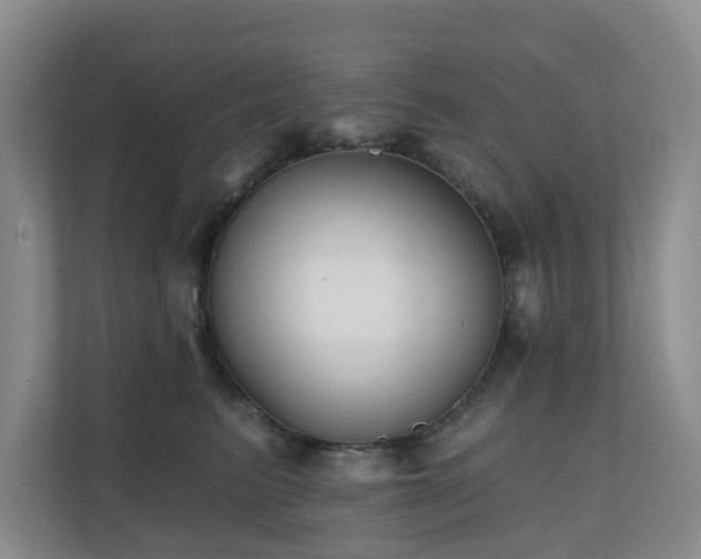 X0000110720615200906121429