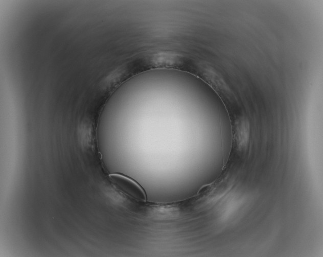 X0000110720619200906121429