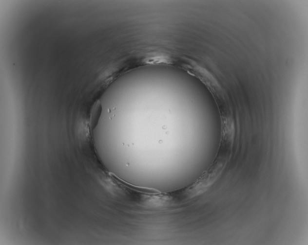 X0000110720621200906121429