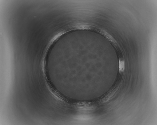 X0000110720627200906121429