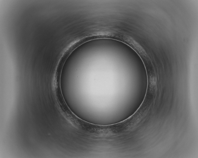 X0000110720628200906121429