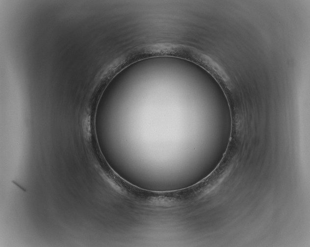 X0000110720633200906121429