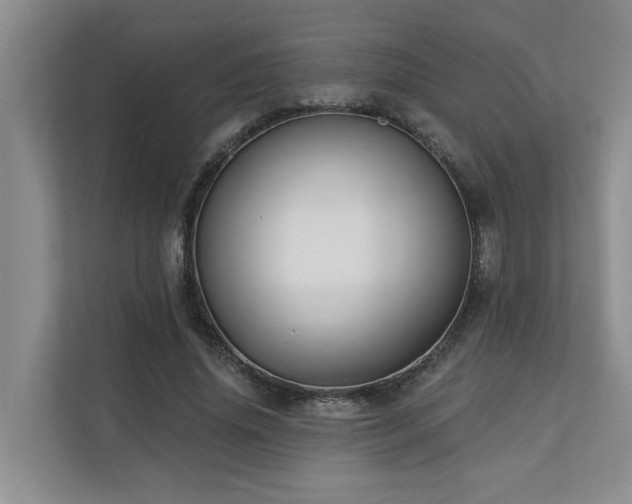 X0000110720636200906121429