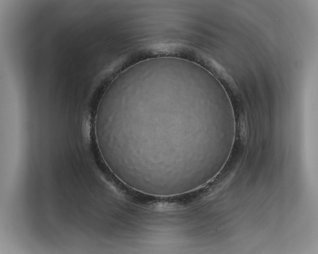 X0000110720637200906121429