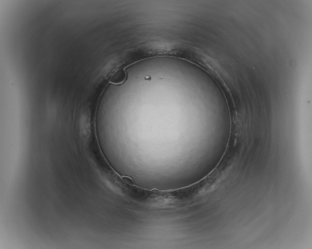X0000110720642200906121429