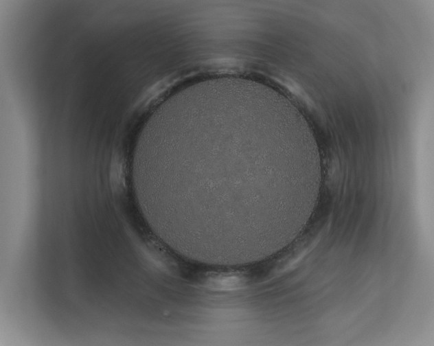 X0000110720643200906121429