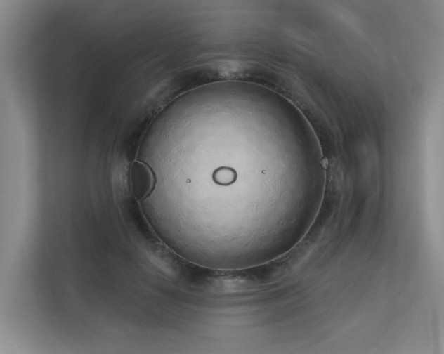 X0000110720650200906121429