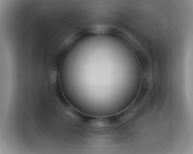 X0000110720652200906121429