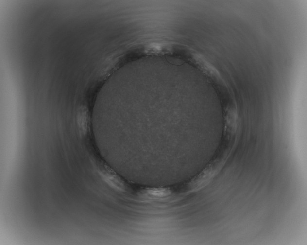 X0000110720659200906121429