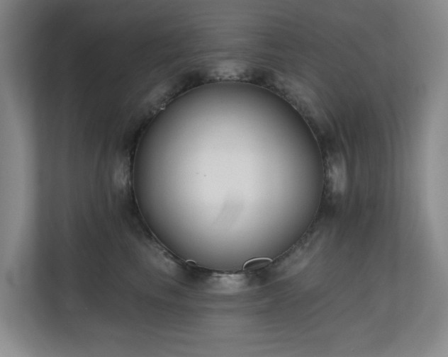 X0000110720665200906121429