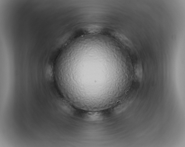 X0000110720667200906121429