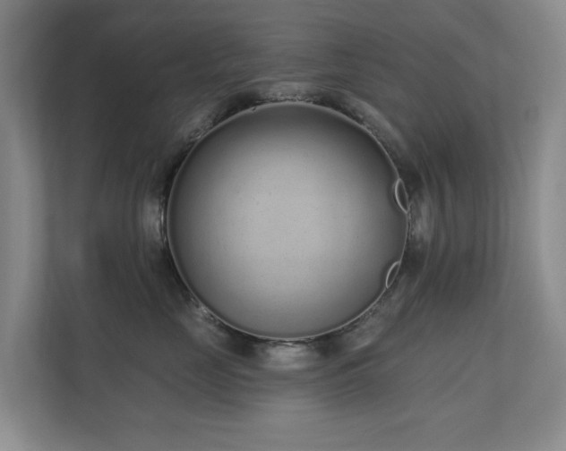 X0000110720669200906121429
