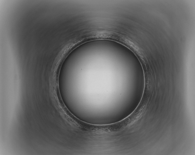 X0000110720673200906121429