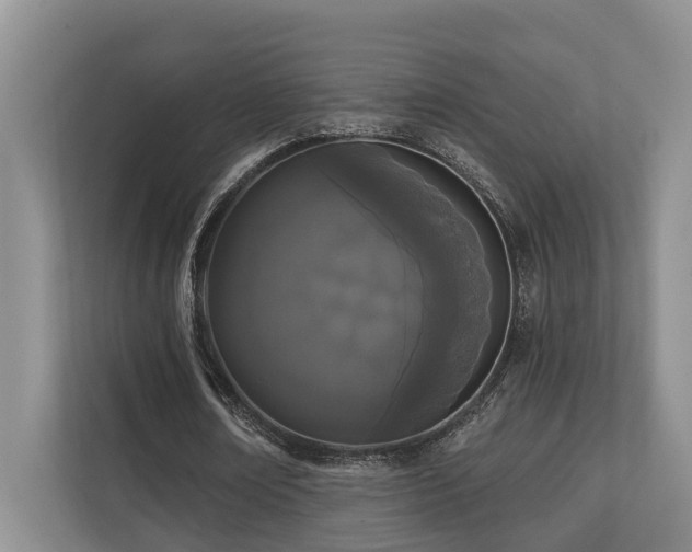 X0000110720674200906121429