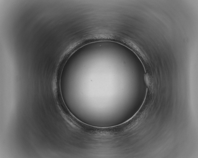 X0000110720677200906121429