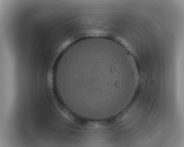 X0000110720679200906121429