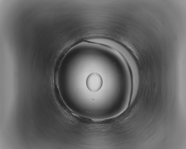 X0000110720681200906121428