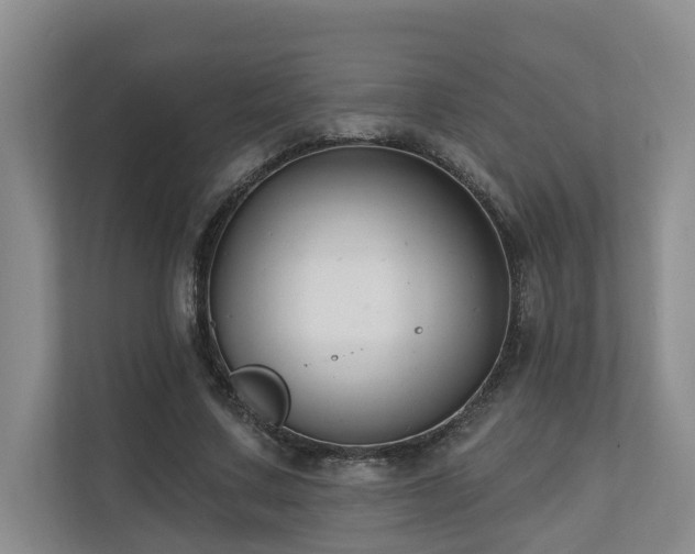 X0000110720683200906121428