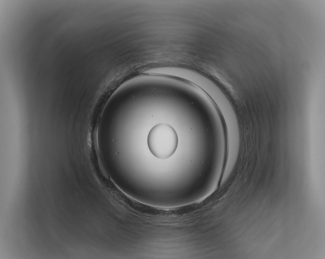 X0000110720685200906121428