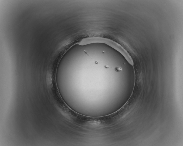 X0000110720687200906121428