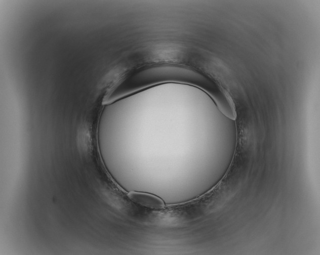 X0000110720688200906121428