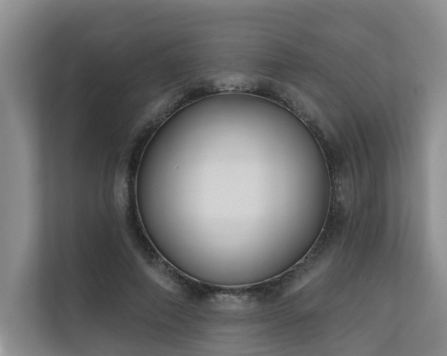 X0000110720690200906121428