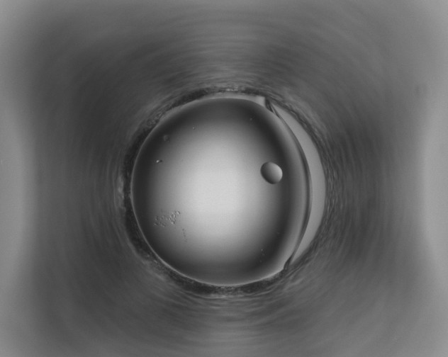 X0000110720693200906121428