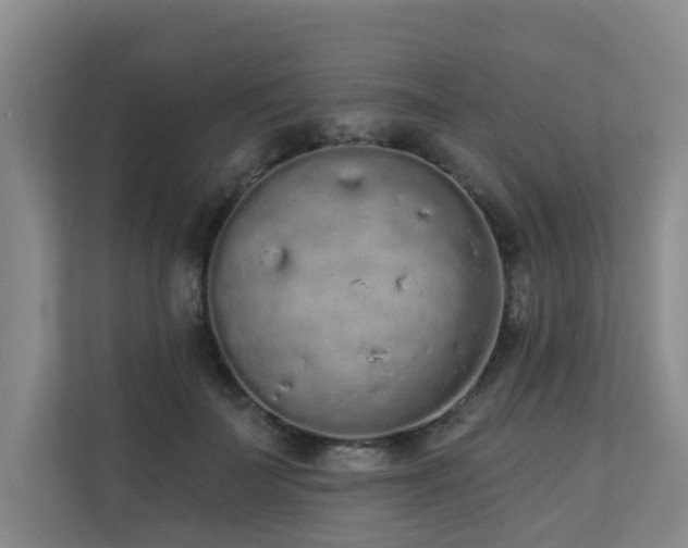X0000110720699200906121428