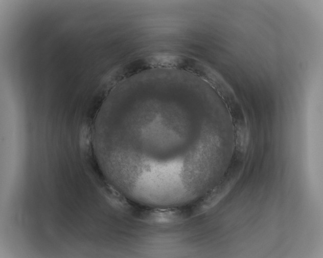 X0000110720701200906121428