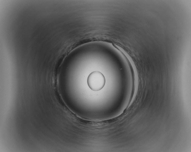 X0000110720709200906121428
