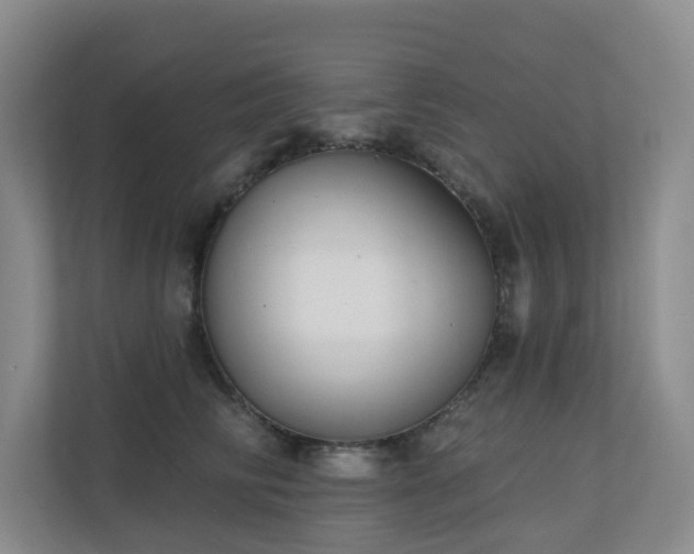 X0000110720710200906121428