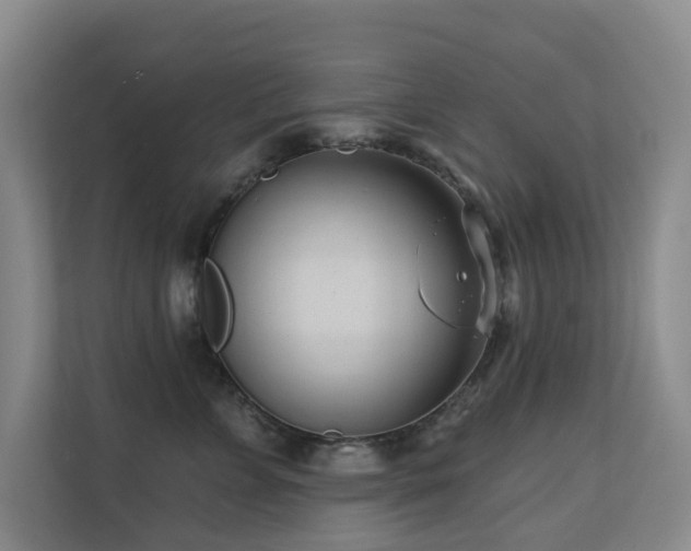 X0000110720715200906121428
