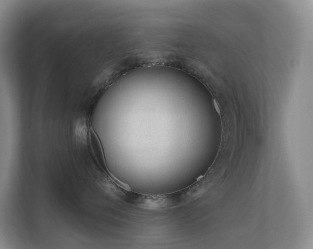 X0000110720720200906121428