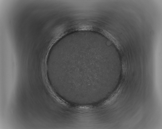 X0000110720721200906121427