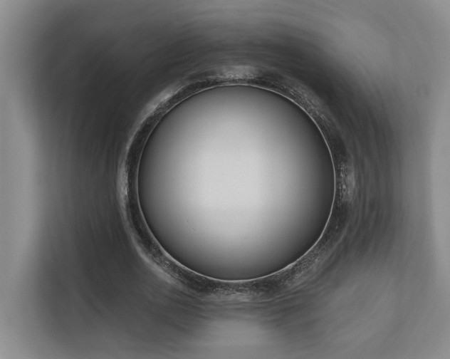 X0000110720726200906121427