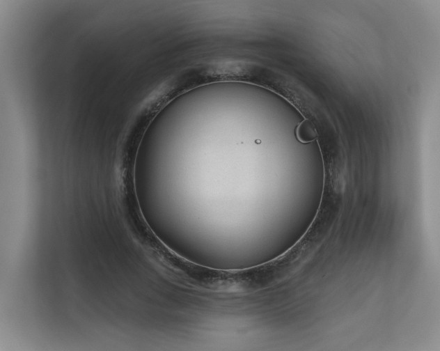 X0000110720735200906121427