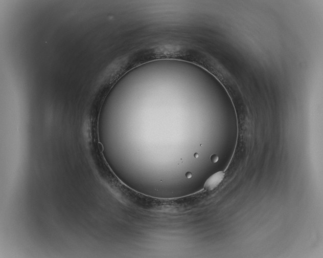 X0000110720738200906121427