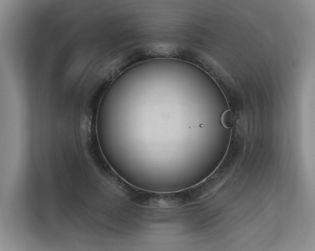 X0000110720739200906121427