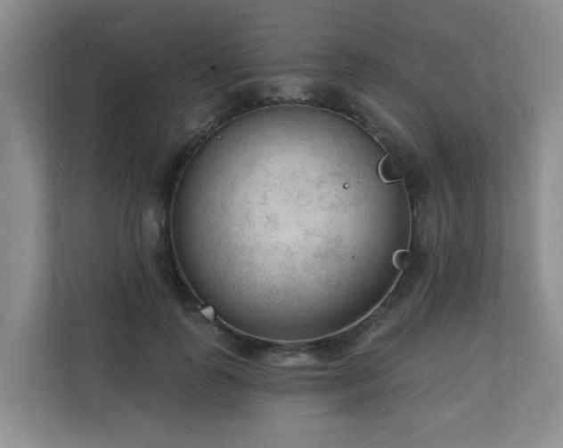 X0000110720747200906121428