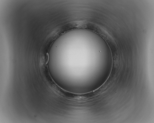 X0000110720748200906121428